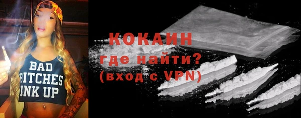 стаф Вязьма