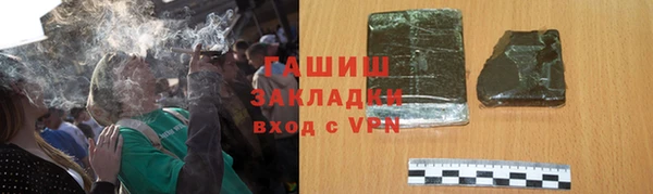 стаф Вязьма