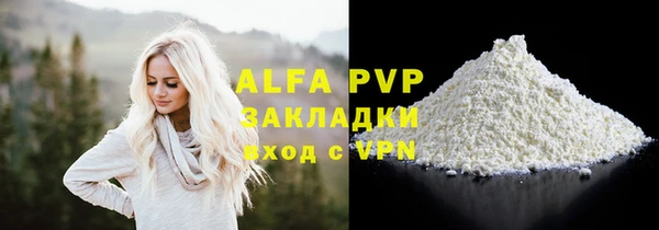 стаф Вязьма