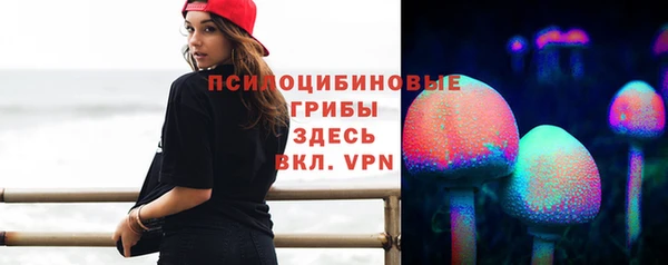 герыч Вяземский