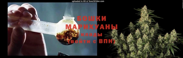 стаф Вязьма