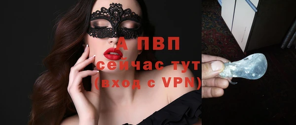 стаф Вязьма