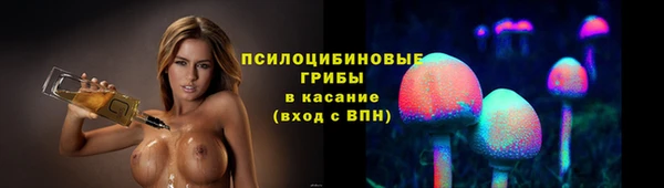 твердый Семилуки