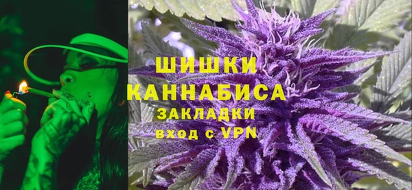 стаф Вязьма