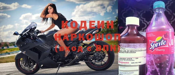 стаф Вязьма