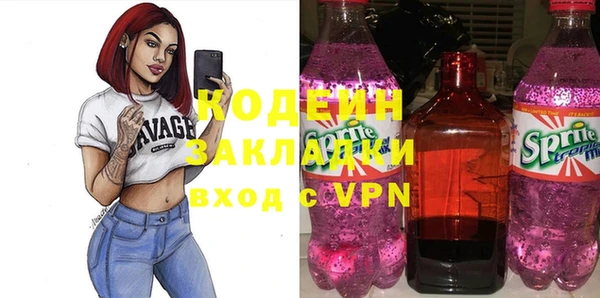 стаф Вязьма