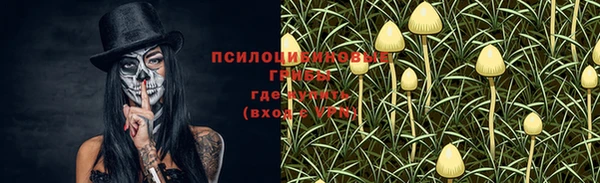 герыч Вяземский
