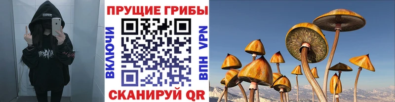 Галлюциногенные грибы мицелий  hydra онион  Городовиковск  наркотики 